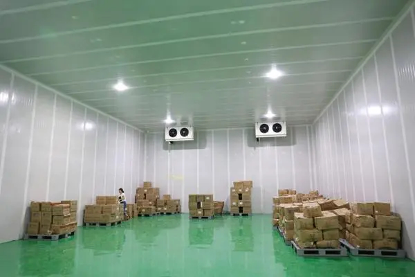 建個(gè)大型冷庫(kù)大概多少錢