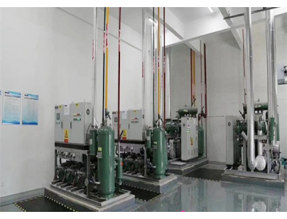 湖北周黑鴨80000m3生產(chǎn)加工型成品低溫物流冷庫(kù)工程建造方案