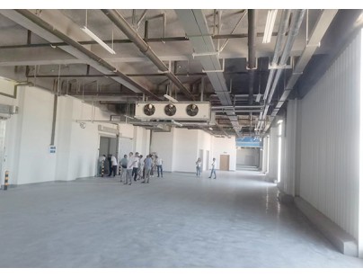 河北尚品15000m3倉儲(chǔ)物流低溫冷藏冷凍庫建造方案