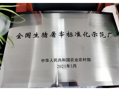 杭州生豬屠宰場白條肉速凍冷凍庫工程建造設(shè)計(jì)方案