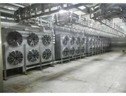 杭州生豬屠宰場白條肉速凍冷凍庫工程建造設(shè)計(jì)方案