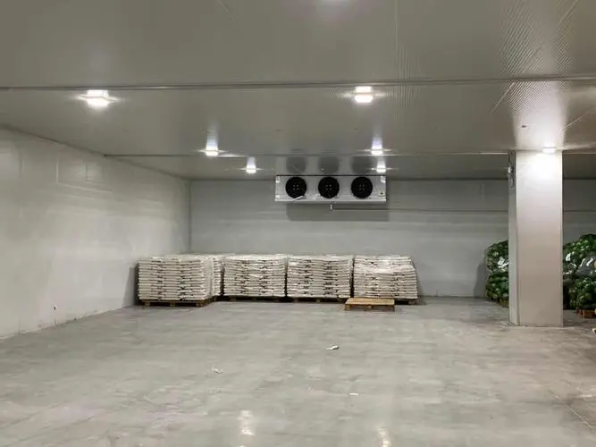 大型冷庫設(shè)計方案及流程