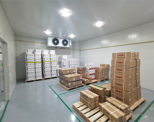-20℃醫(yī)療疫苗冷庫國家建設(shè)標準規(guī)范要求2022新版