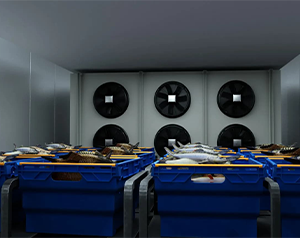 安裝10000平生鮮電商冷庫有哪些因素會影響投資預算？