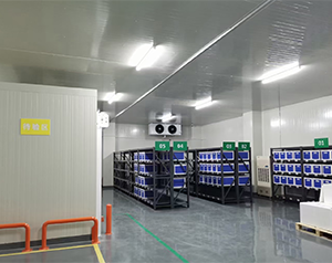 藥企公司建造低溫醫(yī)藥冷庫(kù)的方案和預(yù)算？