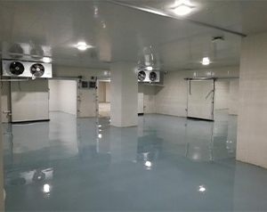 藥企公司建造低溫醫(yī)藥冷庫(kù)的方案和預(yù)算？