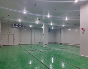 化工企業(yè)內(nèi)建造一個(gè)100平防爆冷庫的設(shè)計(jì)安裝費(fèi)用？