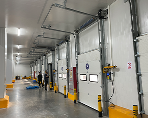 廣東500㎡荔枝氣調(diào)庫建造成本預算多少錢一平米