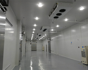 醫(yī)藥冷庫建造這些您了解嗎？藥品冷庫建設(shè)多少錢
