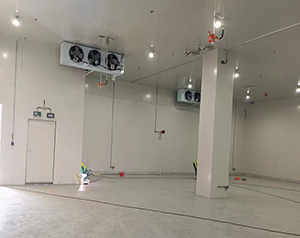 化工防爆冷庫(kù)完工圖