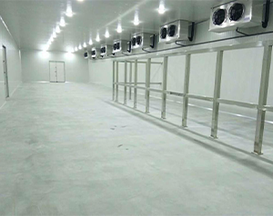 30000斤粉條冷凍庫儲藏標準及設(shè)備安裝費用多少