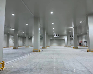 你知道未來哪種冷庫更有市場潛力，有“錢”景？