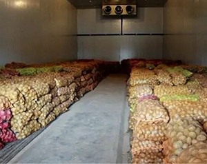 建造 1000噸食品加工冷庫大概需要多少錢？