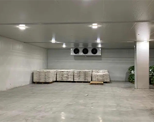60噸冬瓜保鮮庫建造預(yù)算是多少，冬瓜在保鮮庫如何儲存