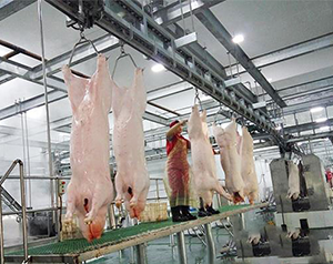 豬肉加工廠冷庫如何進(jìn)行設(shè)計(jì)建造？