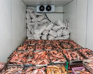 舌尖上的漁業(yè)制冷-海鮮、魚類冷庫