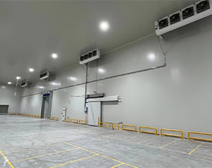 建個(gè)小型冷藏庫多少錢?冷藏庫建設(shè)造價(jià)？