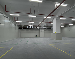 500平方氣調(diào)冷庫(kù)建造要多少錢(qián)