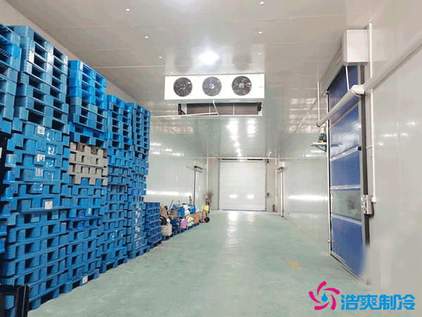 上海建設(shè)50噸冷藏庫造價多少錢？50噸冷庫需要多大的機(jī)器？