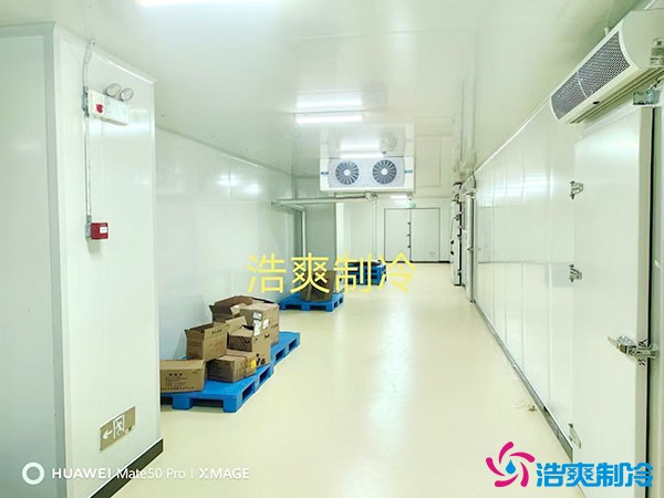 儲(chǔ)存疫苗的企業(yè)獨(dú)立冷庫(kù)有幾個(gè)？生物疫苗冷庫(kù)造價(jià)