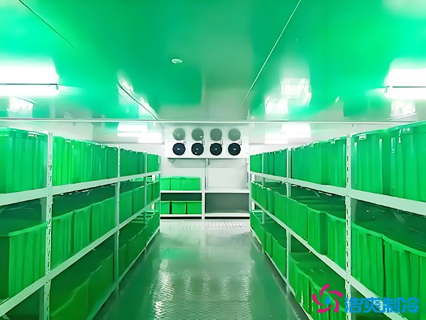 藥品批發(fā)企業(yè)冷藏庫平方面積要求多少？1000平藥企冷庫造價