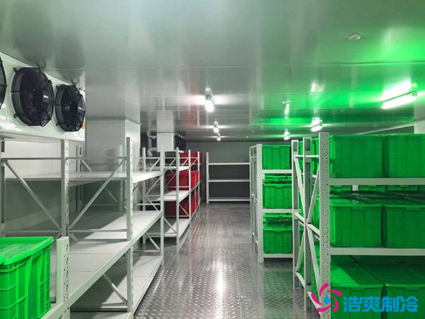 藥品批發(fā)企業(yè)冷藏庫平方面積要求多少？1000平藥企冷庫造價
