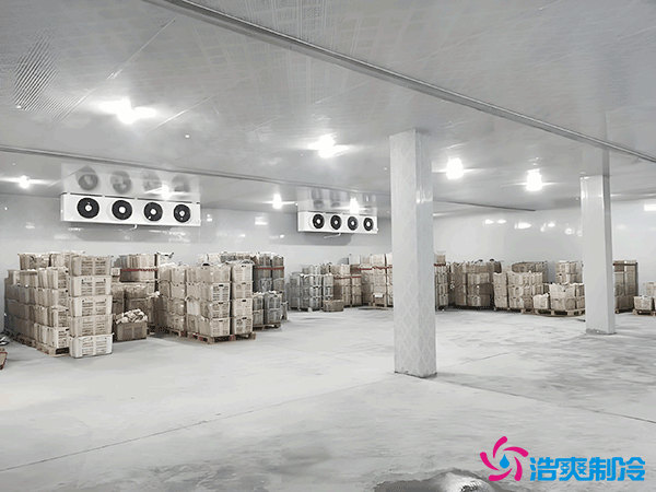 建造一個(gè)大型的冷庫安裝造價(jià)成本需要多少錢?