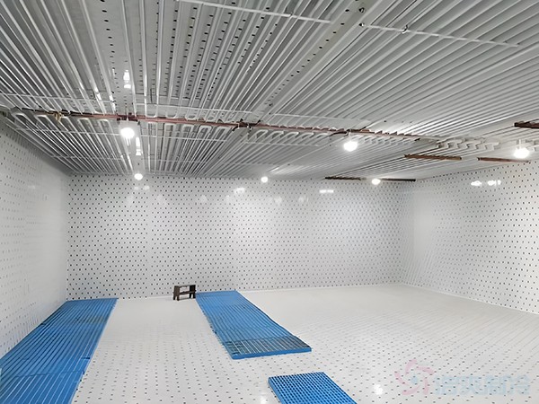 箭齒鰈魚片冷藏庫儲藏條件，箭齒鰈魚冷庫溫度要求
