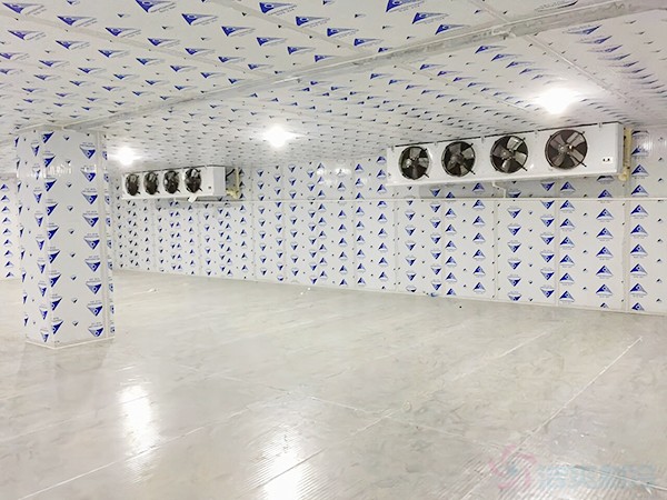 建一個冷凍庫造價需要多少錢一平方？