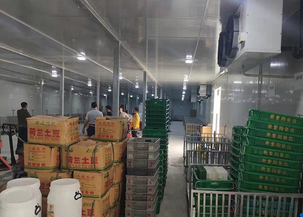 2000平米土豆冷庫竟要200多萬？揭秘氣調(diào)保鮮庫天價背后！